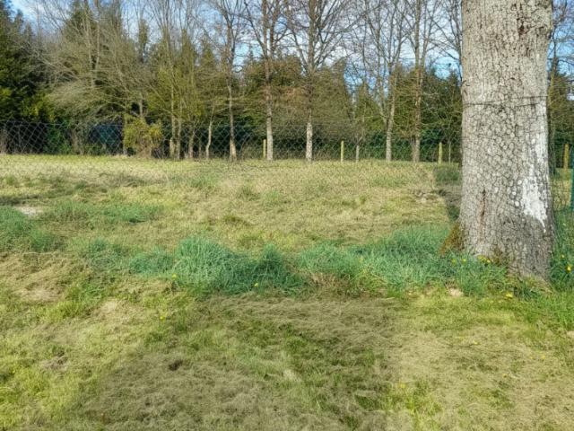 Terrain vente à Vannes, Bretagne