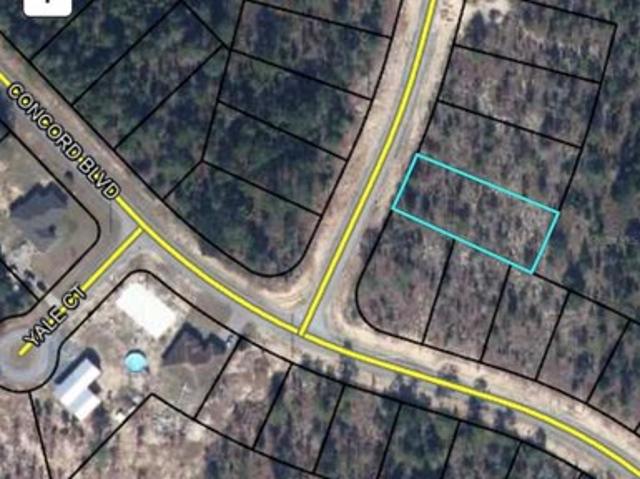 Land for sale in Chipley, Florida
