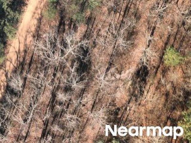 Land for sale in Pelion, South Carolina