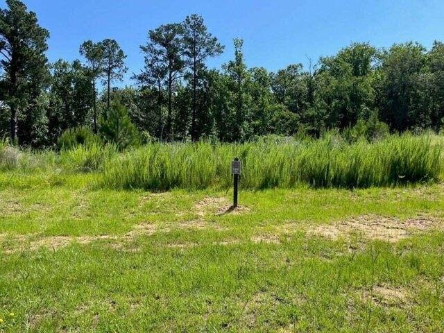 Land for sale in Evans Land for sale in Evans