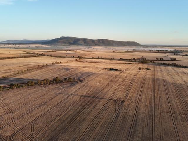 Property for sale in Quandialla, New South Wales