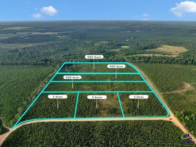 Land for sale in Reynolds, Georgia