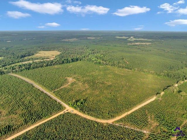 Land for sale in Reynolds, Georgia