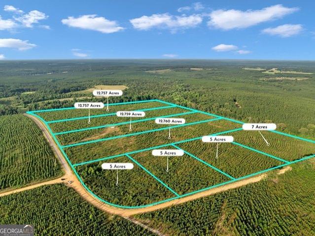 Land for sale in Reynolds, Georgia