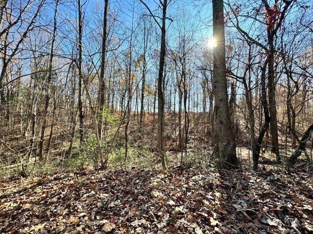 House for sale in Tennessee Ridge, Middle Tennessee