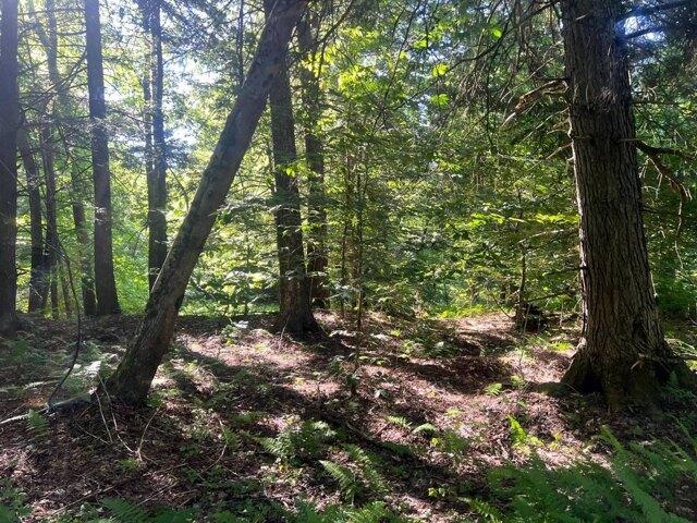 Land for sale in Oneida, New York
