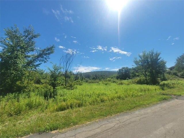 Land for sale in Conklin Land for sale in Conklin