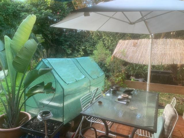 Room for rent in Sydney, New South Wales