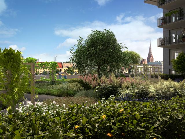 Lägenhet hyra i Västernorrland