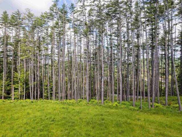 Land for sale in South Woodstock, Vermont