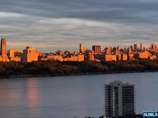 Condo for sale in Cliffside Park