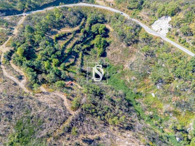 Terreno venda em Carneiro, Amarante