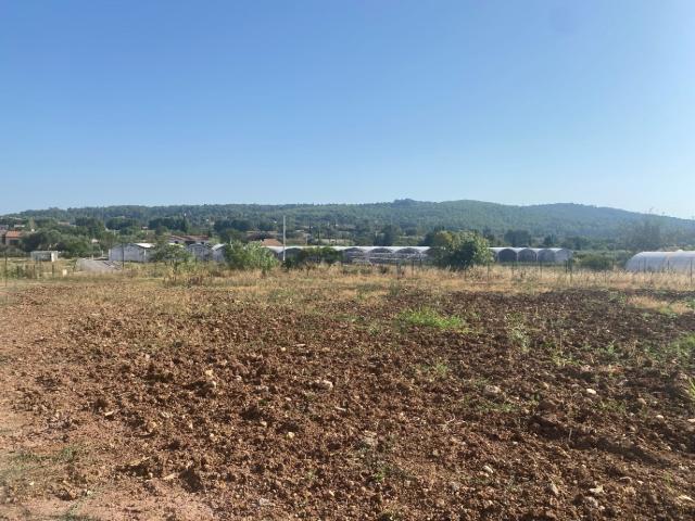 Maison vente à Carnoules, Var