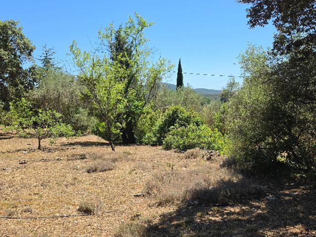 Terrain vente à Carnoules, Var