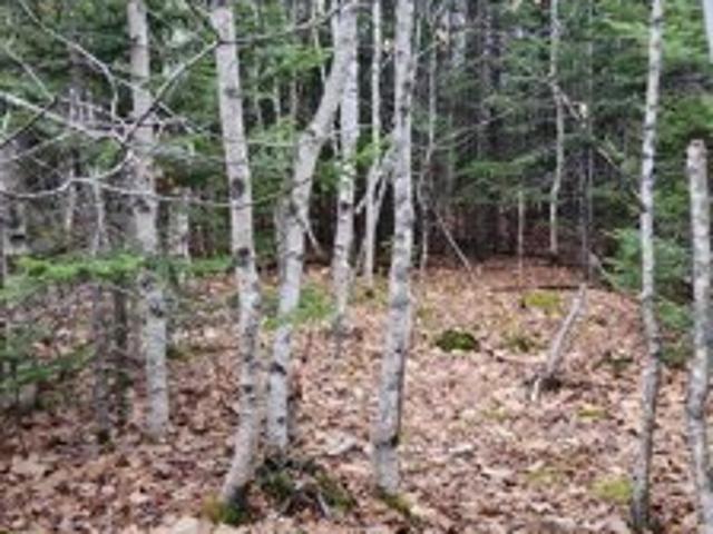 Land for sale in Bangor