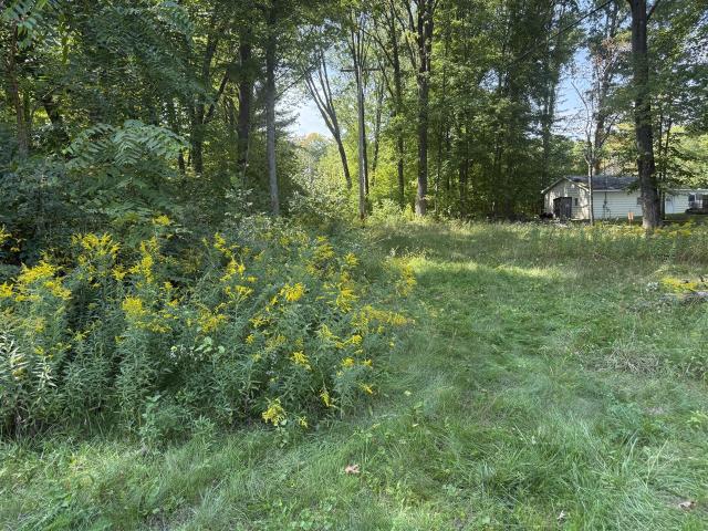Land for sale in Brooks Township, Newaygo County