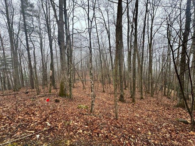 Land for sale in Avery, North Carolina