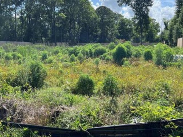 Land for sale in Wilmington