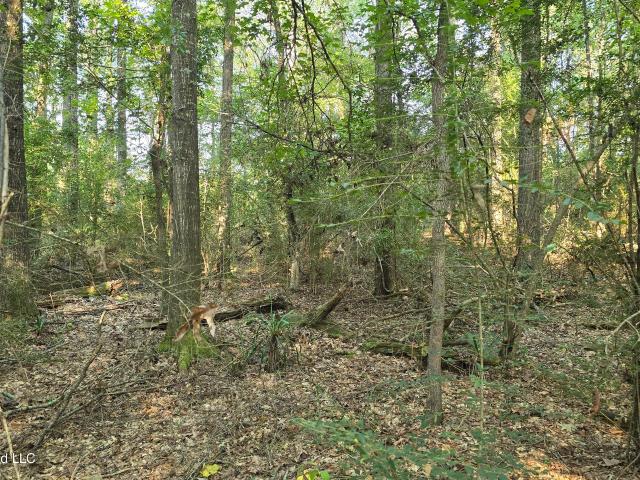 Land for sale in Roxie, Mississippi