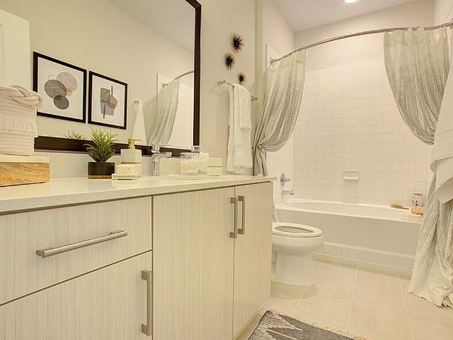Apartment for rent in Charleston, Charleston County