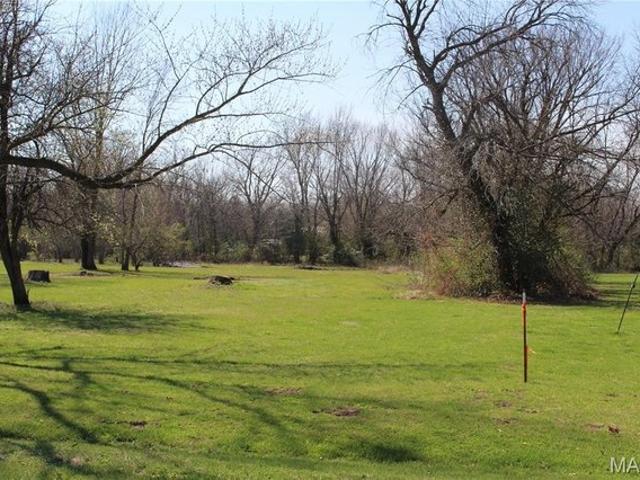 Land for sale in Bellflower, Missouri