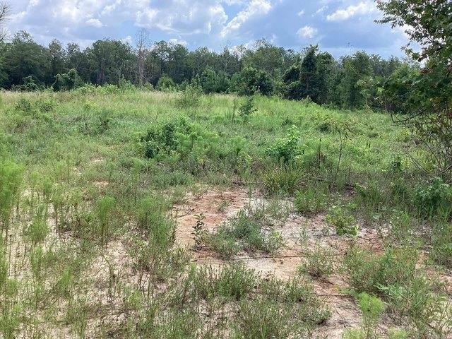 Land for sale in Ark