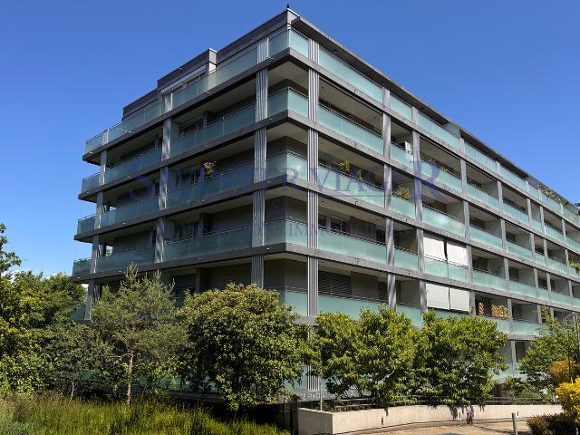 Wohnung kaufen in Carouge (GE)