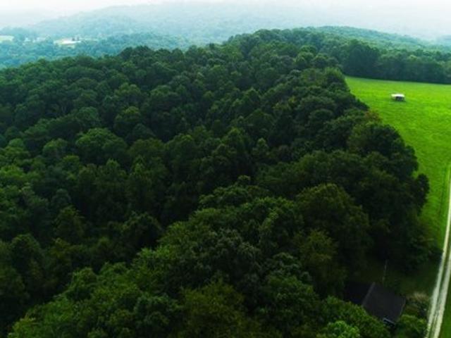 Land for sale in West Virginia