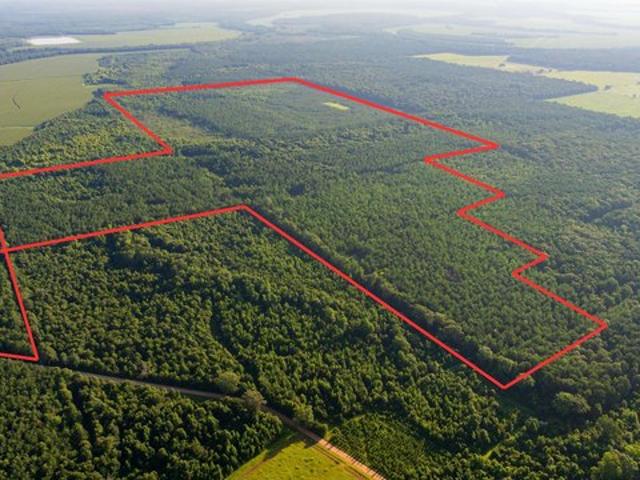 Land for sale in Morehouse, Louisiana