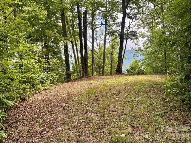 Land for sale in Bryson City, Swain County