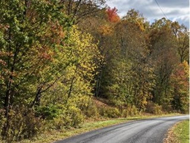 Land for sale in Dellrose, Middle Tennessee