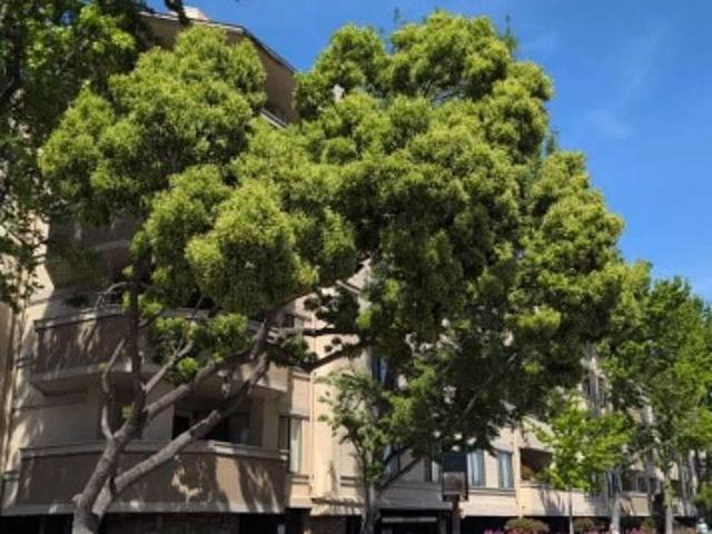 Condo for sale in San Leandro, California
