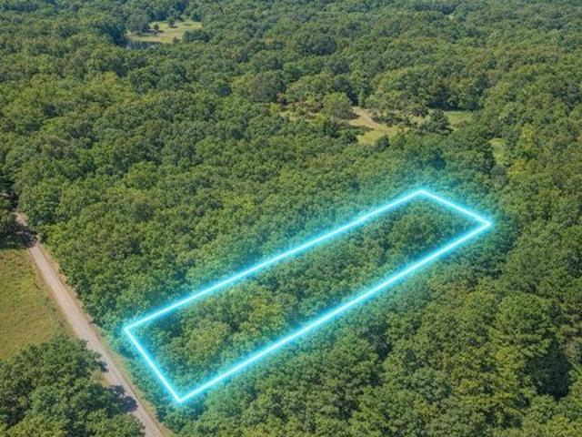 Land for sale in Iola, Wisconsin
