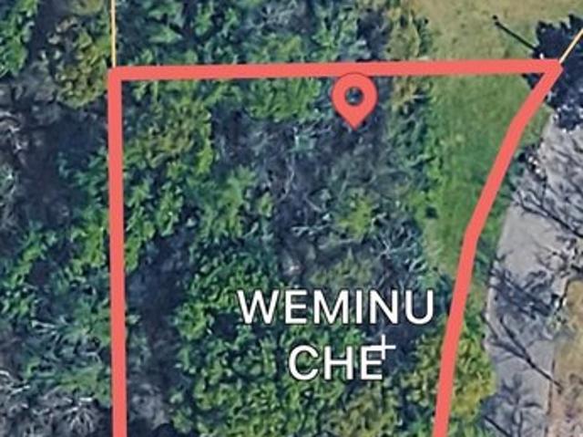 Land for sale in Headland, Alabama