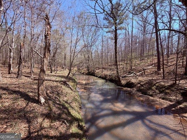 Land for sale in Sparta, Georgia