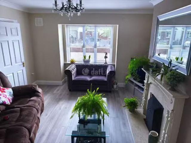House to rent
