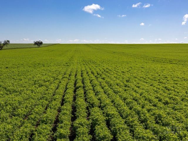 Property for sale in Curramulka, South Australia