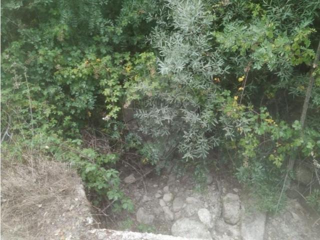 Terreno venda em Carrazeda De Ansiães, Bragança