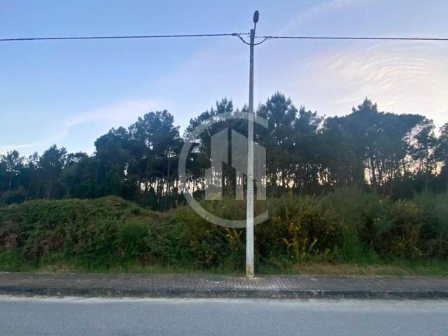 Terreno venda em Carregal Do Sal, Viseu