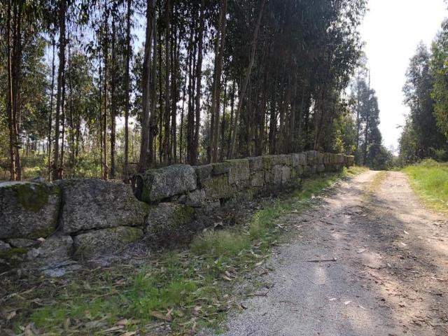 Terreno venda em Carregal Do Sal, Viseu