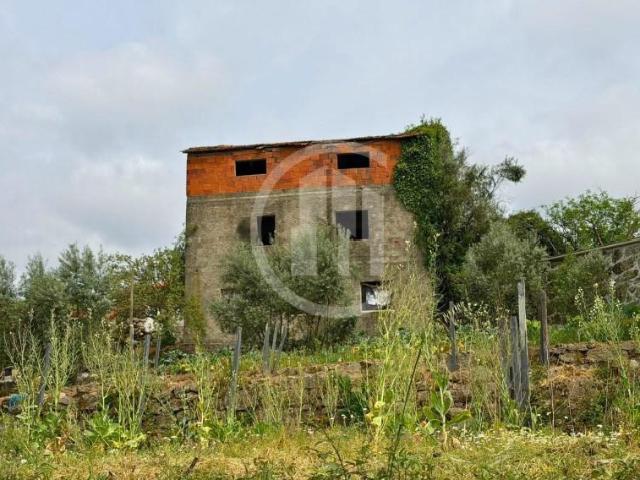 Terreno venda em Carregal Do Sal, Viseu
