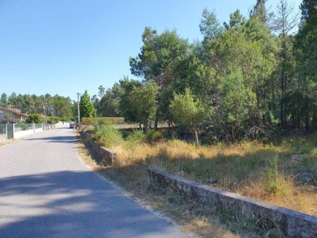 Terreno venda em Carregal Do Sal, Viseu