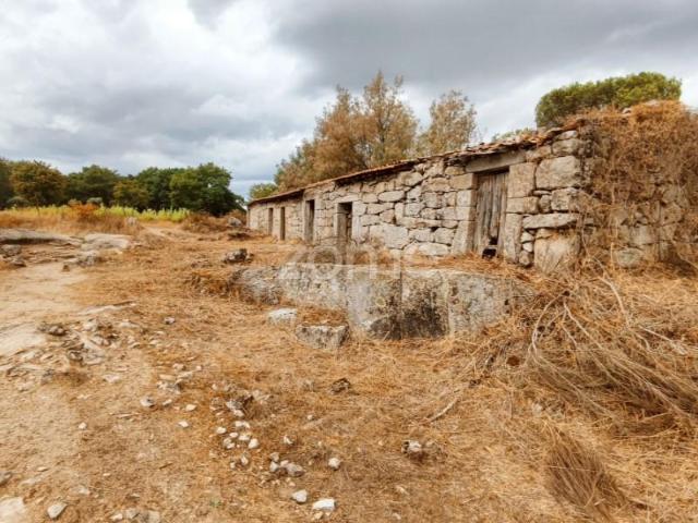 Terreno venda em Carregal Do Sal, Viseu