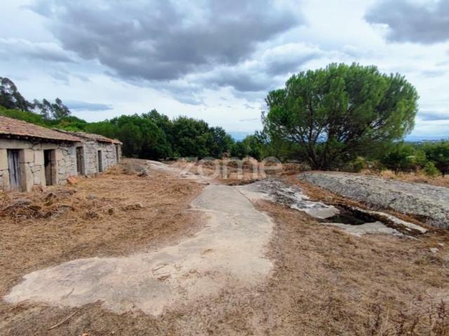 Terreno venda em Carregal Do Sal, Viseu