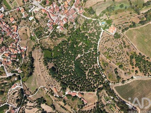Terreno venda em Carregal Do Sal, Viseu