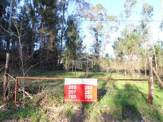 Terreno venda em Monte Maior, Vila Verde