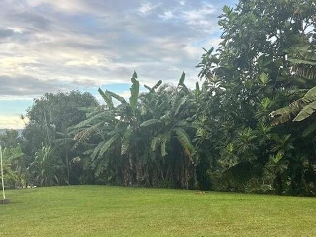 Land for sale