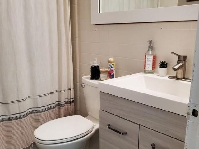Apartment for rent in Storrs, Mansfield