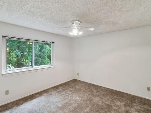 Apartment for rent in Hillsdale, Michigan