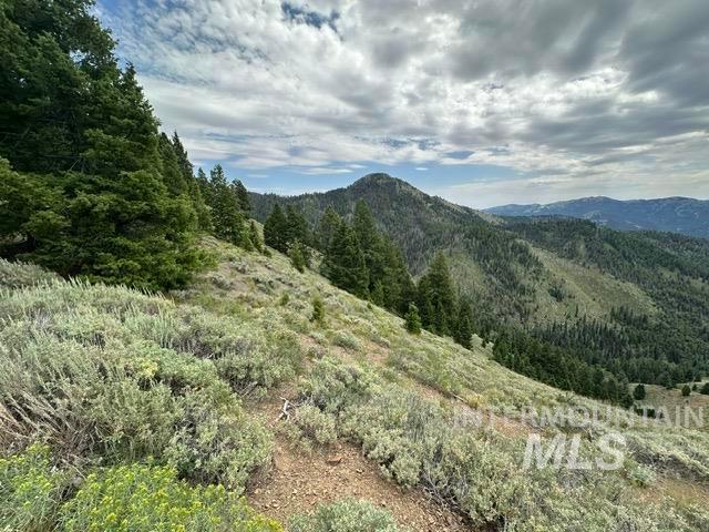 Land for sale in Camas County, Idaho
